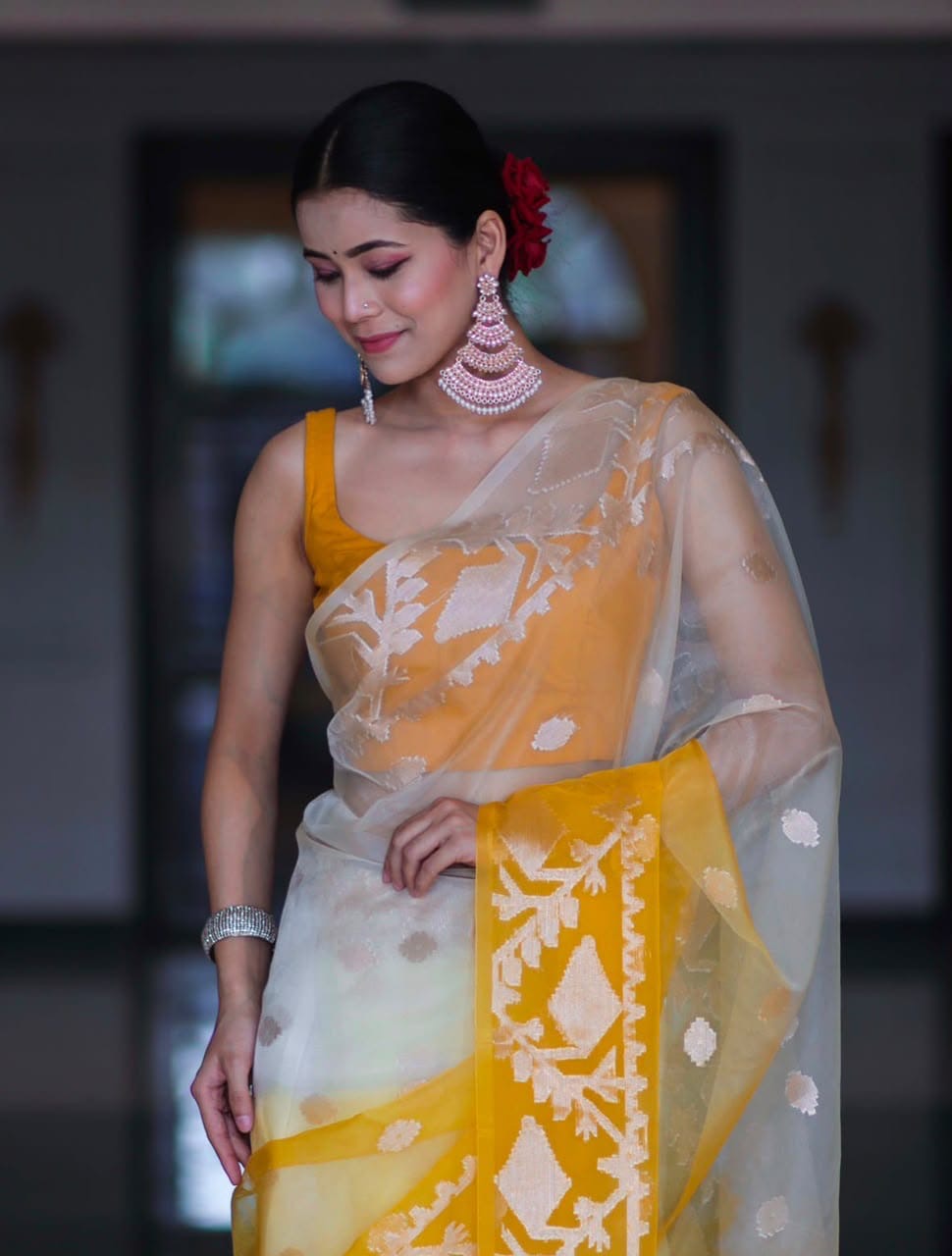 Banarasi Designer Organza Soft Silk Saree
