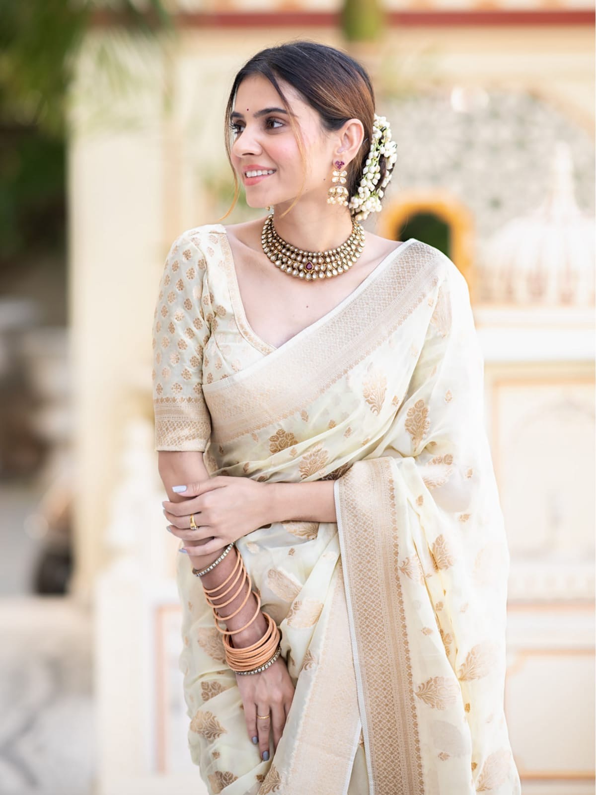 Banarasi Georgette Silk Saree