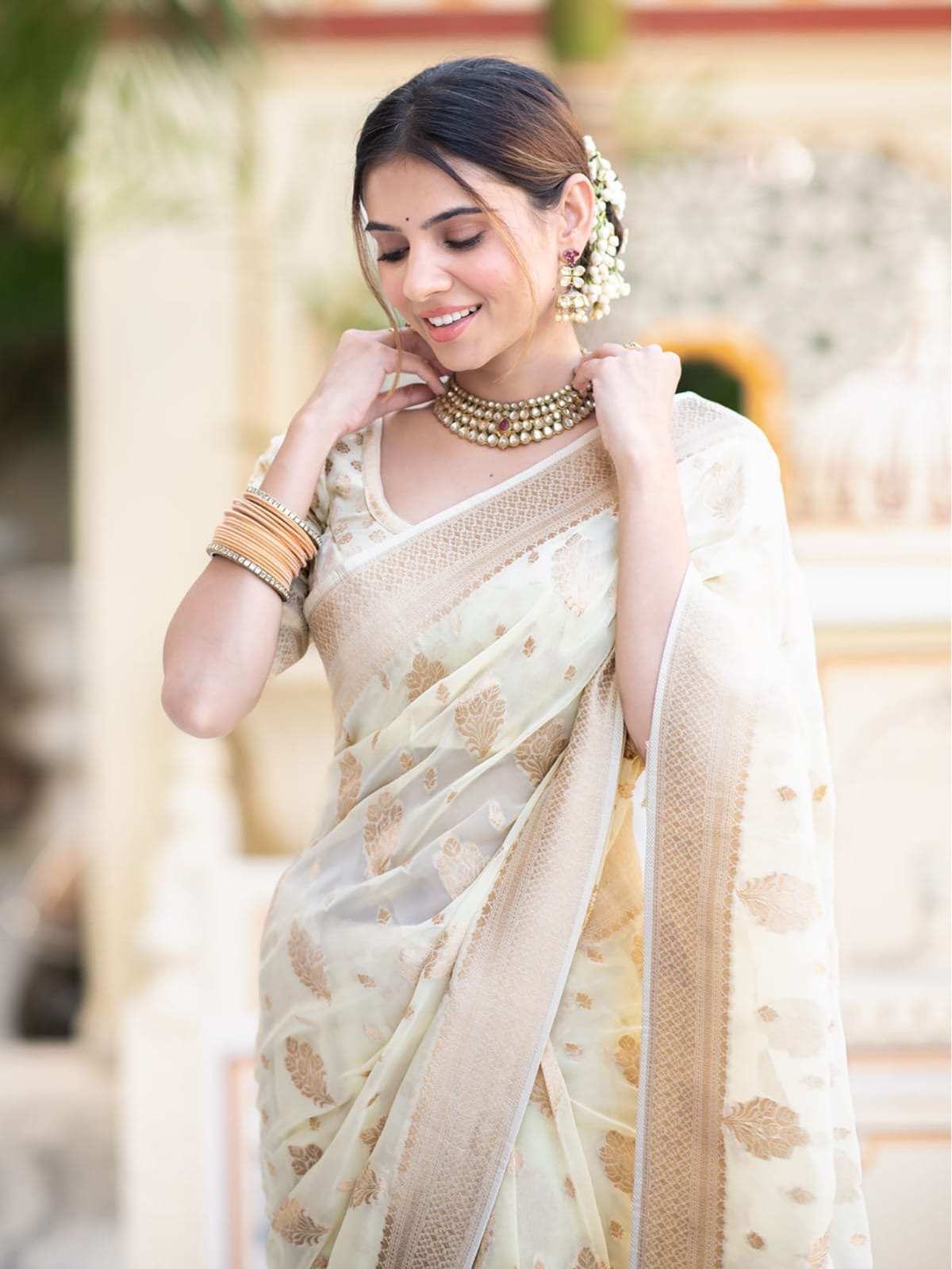 Banarasi Georgette Silk Saree