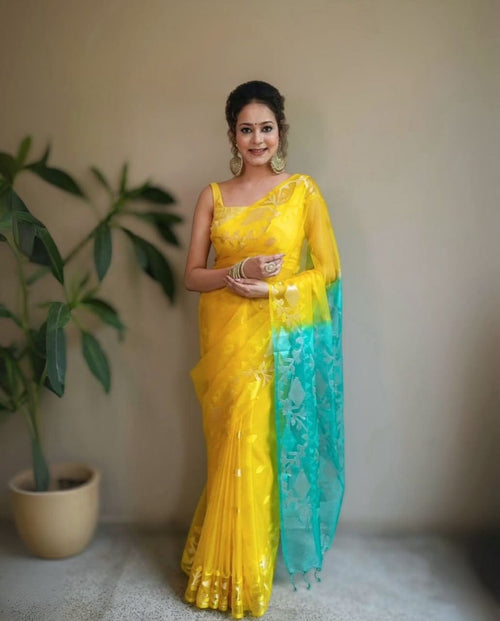 Banarasi Designer Organza Soft Silk Saree